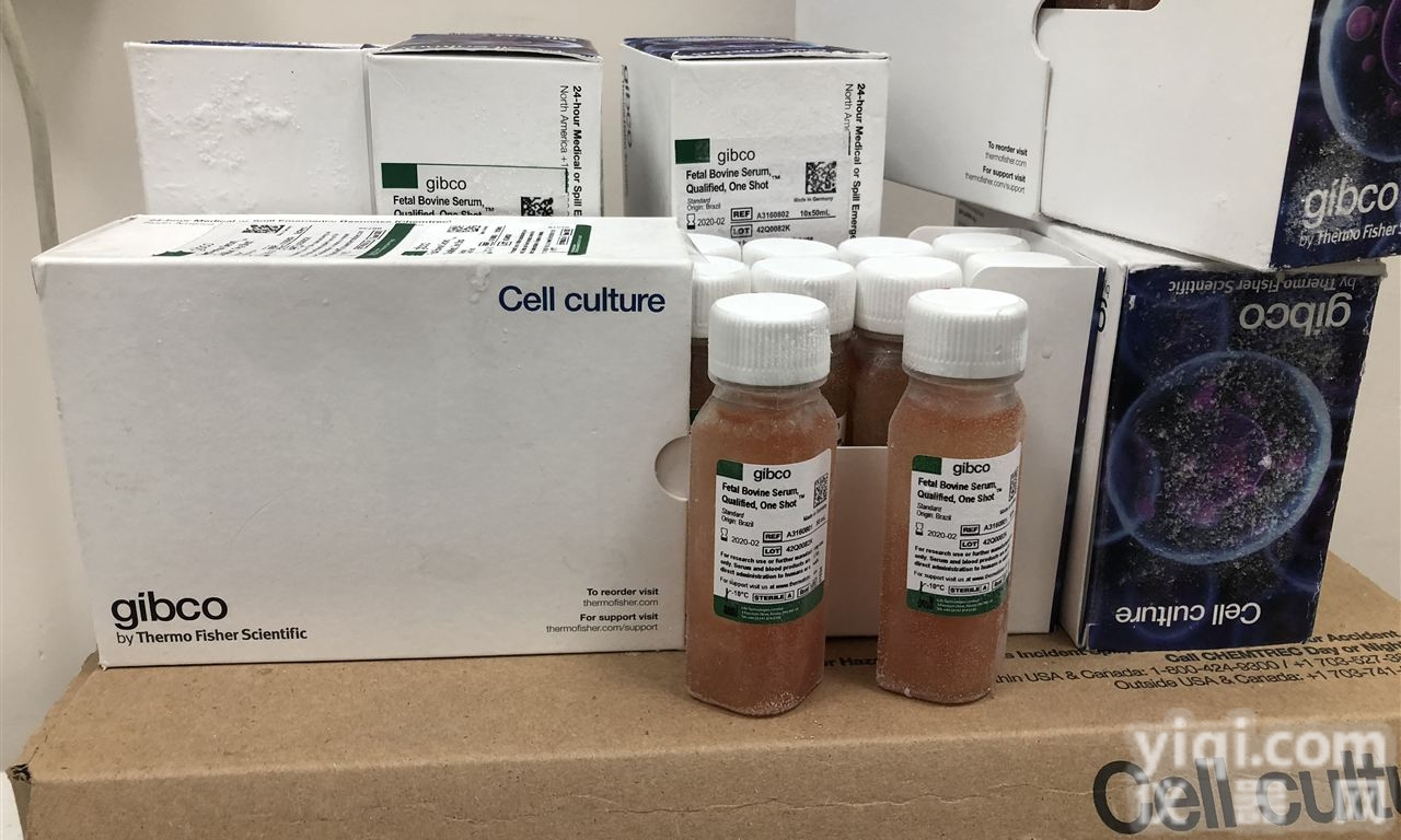 A3160802  GIBCO A3160802<em>南美</em>胎牛<em>血清</em>盒装免<em>分装</em>