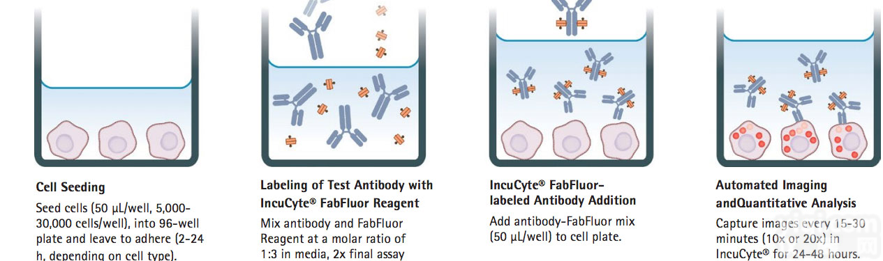 IncuCyte  <em>essenbioscience</em> 4750