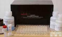 大鼠烟酰胺<em>腺嘌呤</em>（NADPH）elisa<em>试剂</em>盒