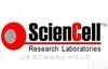 ScienCell  ScienCell<em>抗体</em>试剂<em>销售代理</em> 区域<em>总代</em>