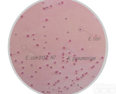 M1340  <em>大肠杆菌O157：H7显色培养基</em>CT-SMAC 平板