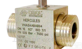 HERCULES大力神系列  <em>意大利</em><em>欧玛</em>尔OMAL阀原装