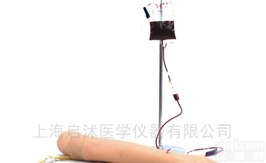 QS/HS2  高级<em>静脉</em><em>穿刺</em>及肌肉<em>注射</em>手臂模型