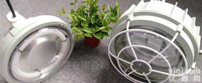 BYH-H防爆环形<em>荧光灯</em>22W节能球形<em>吸顶灯</em>