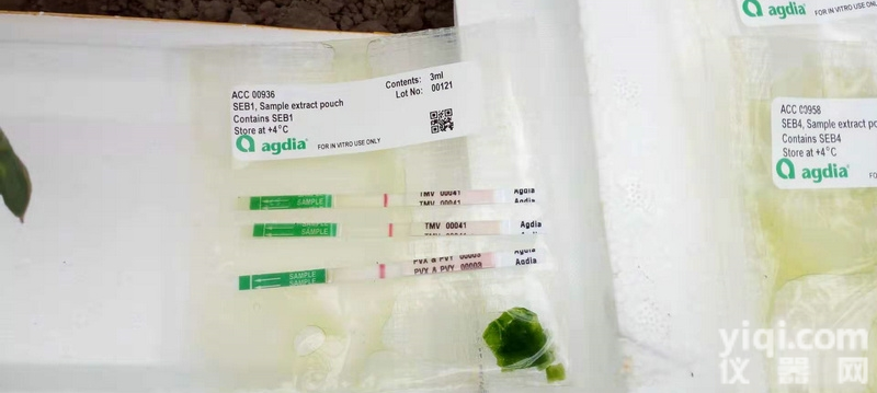 李痘病毒检测<em>试纸</em>条<em>美国</em>Agdia