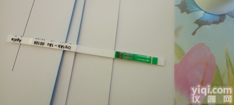 玉米褪绿斑驳病毒检测<em>试纸</em>条<em>美国</em>Agdia