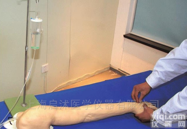 QS/HS39  全功能完整静脉<em>穿刺</em>及<em>注射</em>训练手臂模型