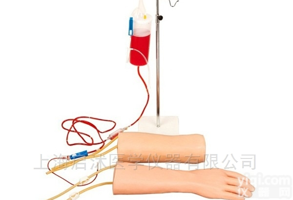 QS/HS42  <em>手部</em>、肘部组合式静脉输液（血）训练手臂