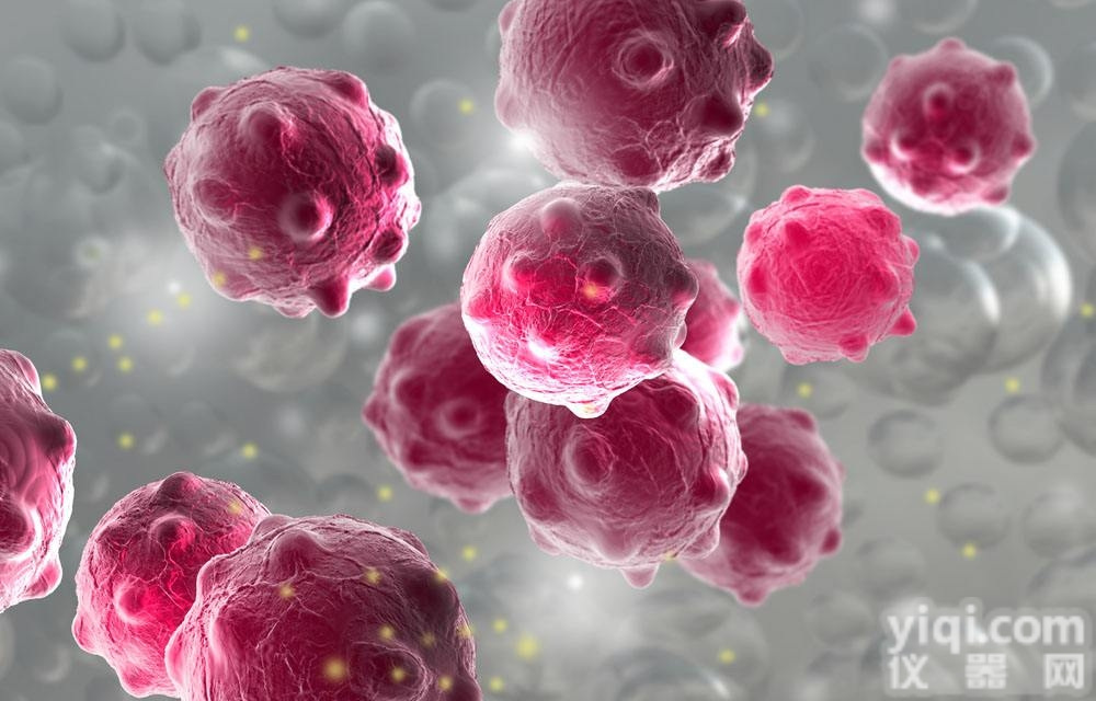 小鼠树突状细胞DC2.4科研<em>说明书</em>今天<em>特价</em>