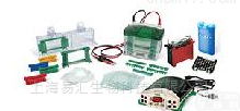 1658033组成  Bio-rad<em>伯乐</em> 1658033<em>电泳仪</em>  现货