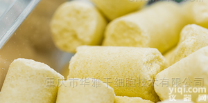 Research Diets D12450J 肥胖模型 对照饲料