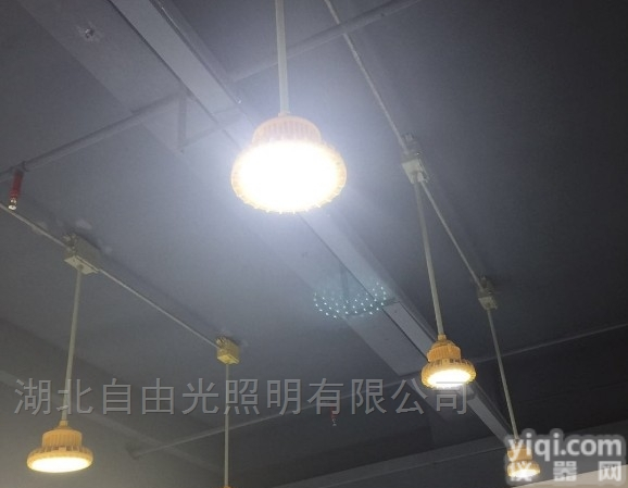 BAD63-A  BAD63-A免维护石油吊<em>杆式</em>防爆平<em>台灯</em>60W