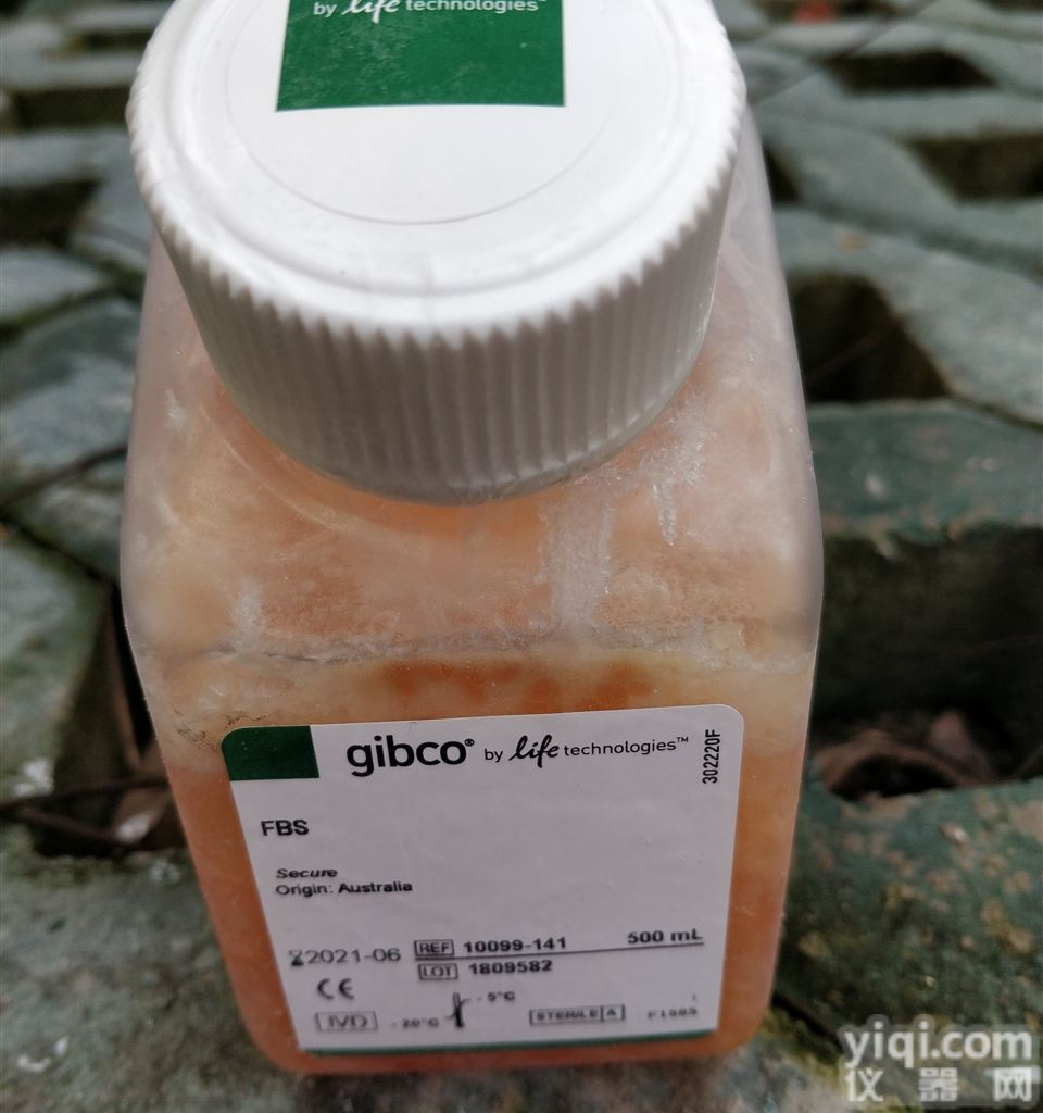 <em>进口</em>Gibco<em>澳洲</em>胎牛<em>血清</em>FBS 10099-141 500ml