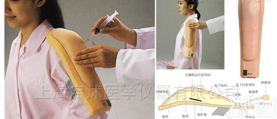 QS/HS20E  <em>高级电子上臂肌肉注射训练模型</em>