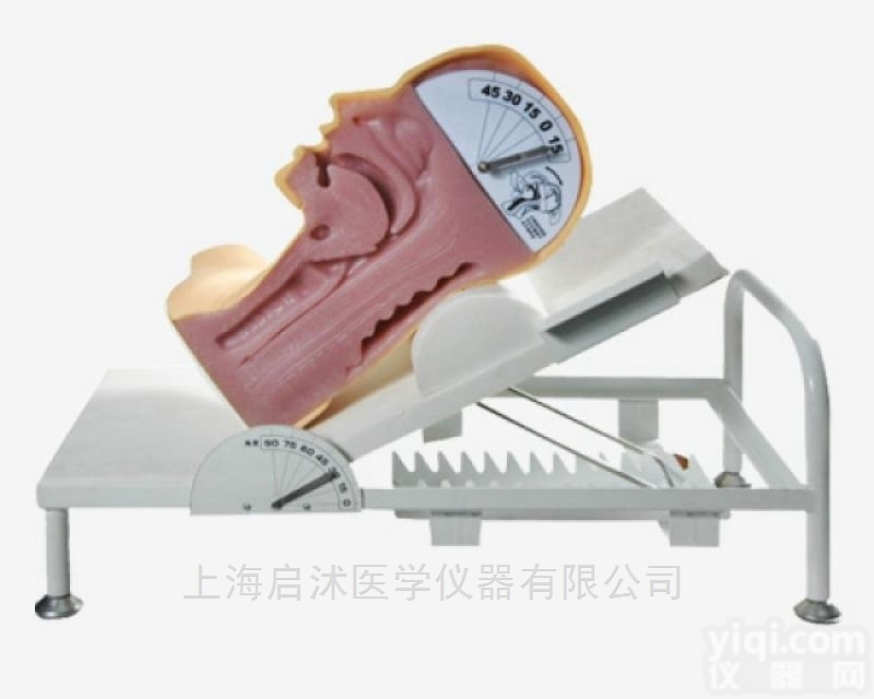 QS/H88  高级<em>吞咽</em>机制模型,<em>吞咽</em>与呼吸机制演示模型