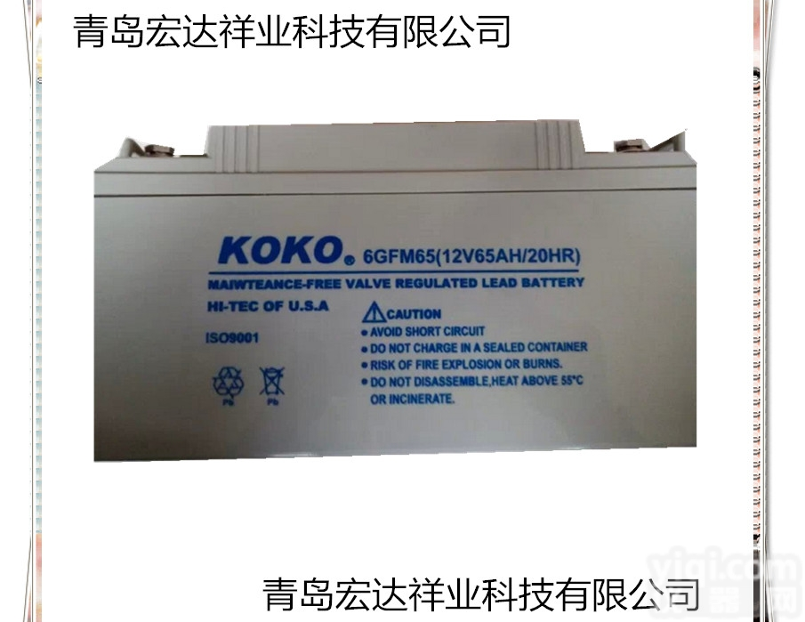 12V6H  可可KOKO<em>蓄电池</em>6GFM65免<em>维护</em>12V6质保三年
