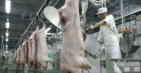 <em>生猪</em><em>屠宰场</em>专用电子轨道秤屠宰秤