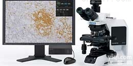 奥林巴斯<em>显微镜</em>摄像头DP22<em>销售商</em>家