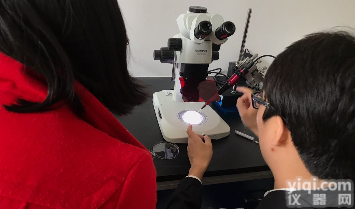 NanojectIII  Drummond细胞<em>注射</em>仪<em>斑马鱼</em>显微<em>注射</em>泵