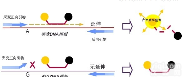 <em>申克</em><em>孢子</em>细菌PCR检测<em>试剂盒</em>厂家