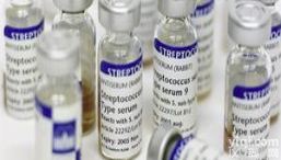 <em>单增</em><em>李斯特</em>氏菌诊断<em>血清</em>