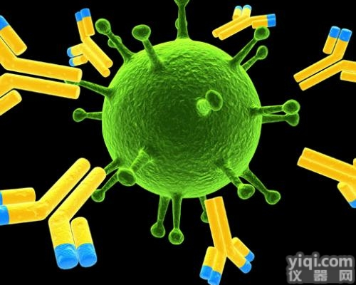 <em>凋亡</em>素<em>抗体</em>（apoptin）