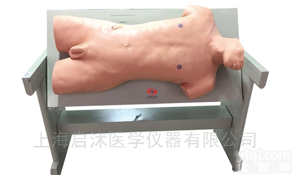 QS/CK813  腹部移动性浊叩诊与<em>腹腔</em><em>穿刺</em>训练模型