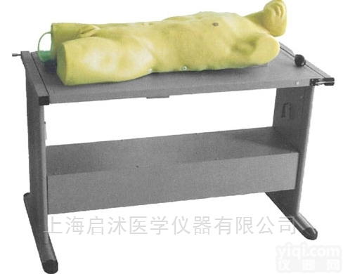 QS/CK819  肝脓肿<em>穿刺</em>与<em>胸腔</em><em>穿刺</em>训练模型