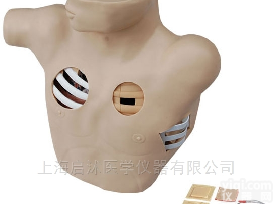 QS/L67  <em>胸腔穿刺引流模型</em>