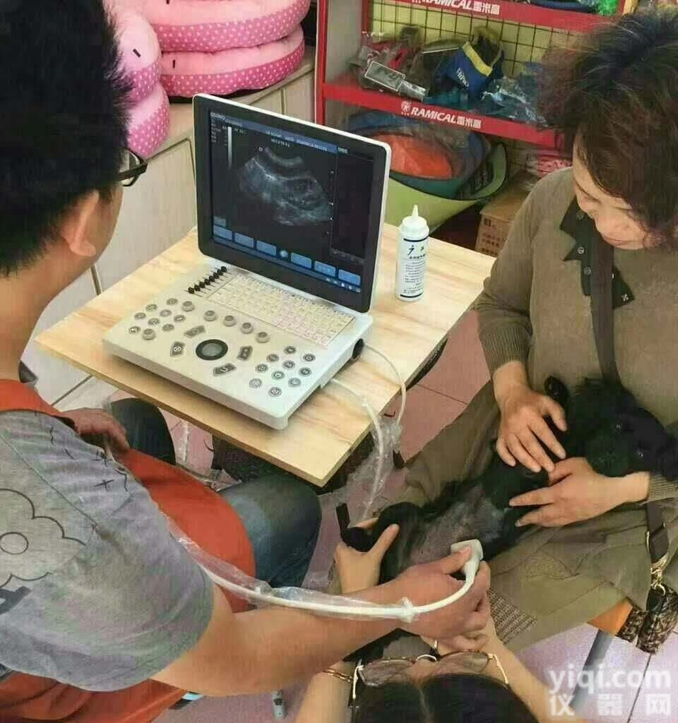 <em>招标</em>采购小<em>动物</em>B超宠物彩超品Pai今日报价