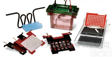 <em>Criterion</em>  <em>伯乐</em>Bio-Rad<em>转印</em>设备