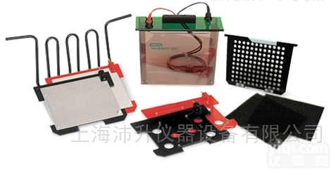 Trans-Blot  <em>伯乐</em>Bio-Rad<em>转印</em>槽
