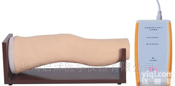 QS/L72  <em>膝关节</em>腔内注射<em>模型</em>