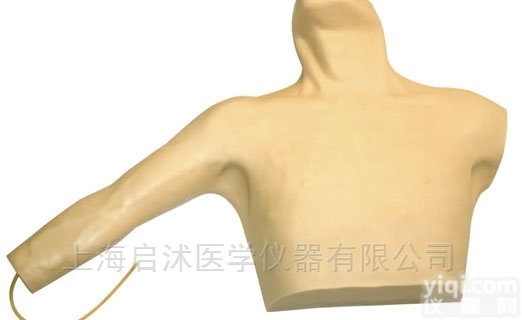QS/L69C  <em>外周穿刺、ZX静脉穿刺插管训练模型</em>