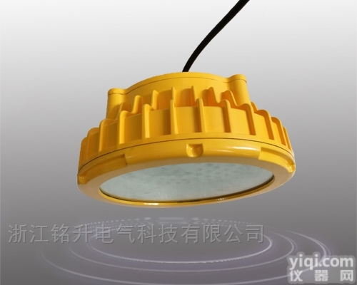 弯杆30Wled<em>防爆灯</em>-弯杆<em>吸顶</em>式LED<em>防爆灯</em>40W-电厂弯杆防水防尘...