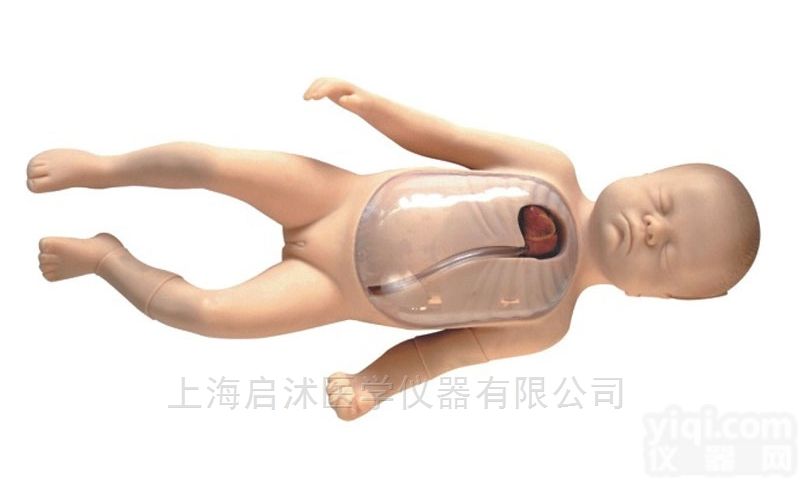 QS/L69D  <em>新生儿</em><em>外周</em>ZX静脉<em>插管</em>模型