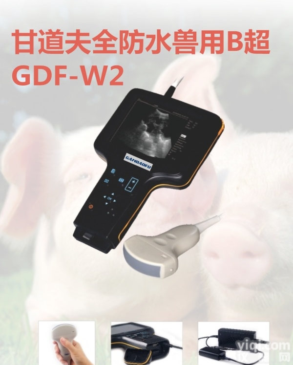 <em>便宜</em>猪用B超报价特价<em>母猪</em>B超测孕仪多少钱