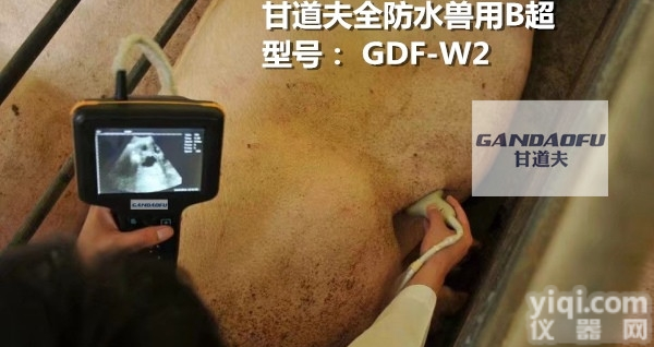 高清猪用B超报价<em>便宜</em><em>母猪</em>B超多少钱
