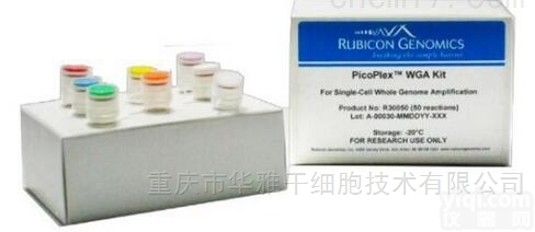 TAKARA/Rubicon Genomics  R300673/R300671单细胞<em>扩增</em>全<em>基因组</em>DNA检测