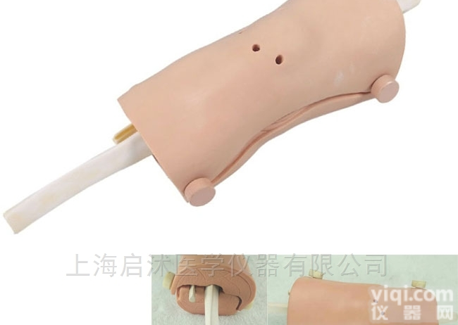 QS/LV75  <em>膝关节镜检查模型</em>