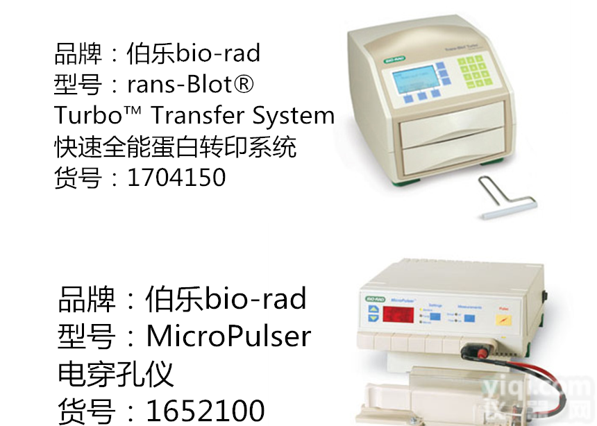 Trans-BlotTurbo  伯乐Trans-Turbo蛋白转印Bio-rad<em>现货</em>总代