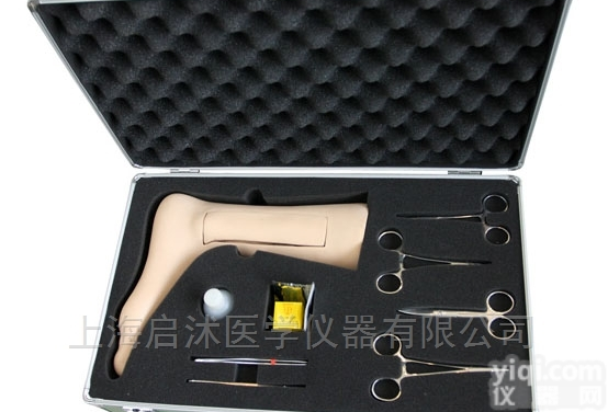 QS/LV9-1  <em>静脉</em><em>切开</em><em>模型</em>