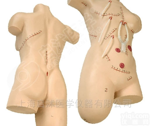 QS/LV18  <em>外科</em><em>缝合</em><em>包扎</em>展示模型