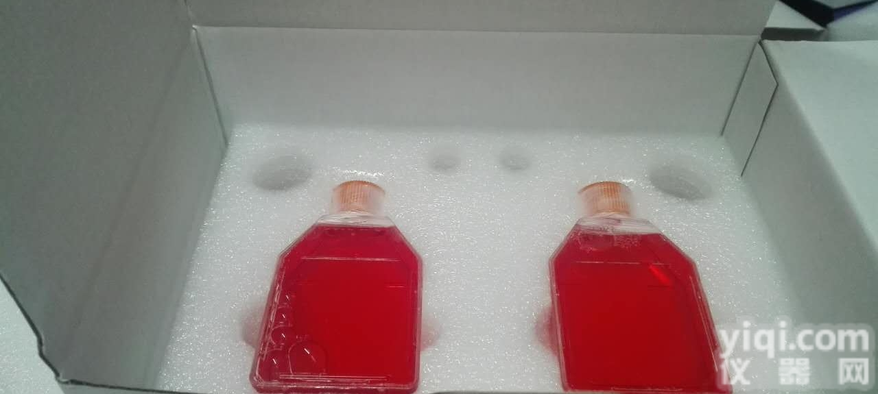 Bcpap  Bcpap 人甲状<em>腺癌</em>乳头状<em>细胞</em>/STR<em>鉴定</em>