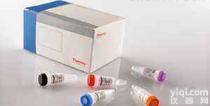 人疱疹病毒6型（HHV-6）荧光探<em>针法</em>PCR<em>试剂盒</em>