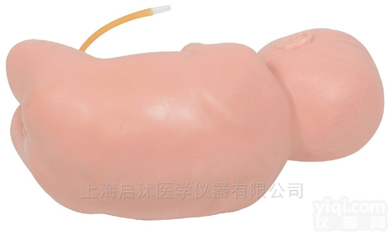 QS/L68B  <em>婴儿</em><em>腰椎</em>穿刺<em>模型</em>