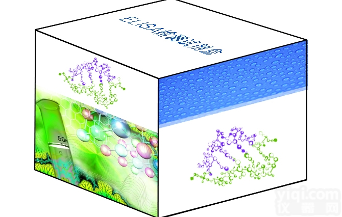 48T/96T  <em>Laminin</em>γ1/<em>Laminin</em> B2  <em>ELISA</em><em>试剂盒</em>