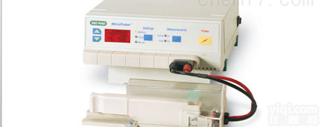 <em>伯乐</em>电<em>穿孔</em>仪1652100  <em>美国</em><em>伯乐</em>bio-radMicroPulser电<em>穿孔</em>仪现货