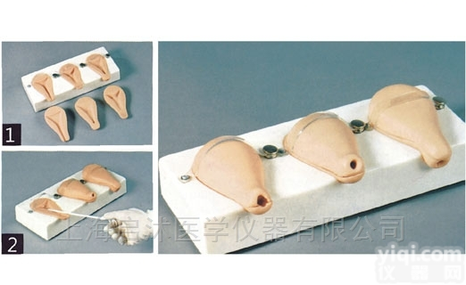 QS/FT33A  高级<em>人工流产</em>模拟<em>子宫</em>