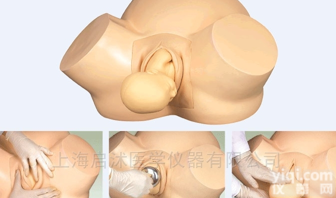 QS/F8  <em>高级助产训练模型</em>